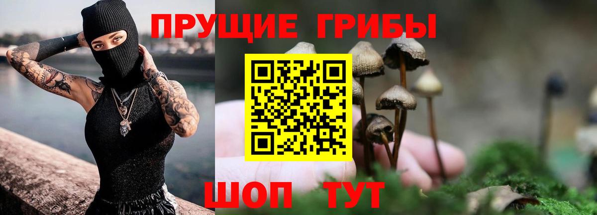 Галлюциногенные грибы Magic Shrooms Семилуки